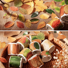 Load image into Gallery viewer, 50 Pcs Kawaiii Leaves Washi Tape Scrapbooking Stickers Cute Sticker Rolls Self-adhesive DIY Decoration Stickers For Arts Crafts