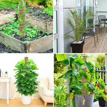 Load image into Gallery viewer, 30/40/50cm Plant Climbing Pole Cane Coir Moss Stick Palm Vines Stick Plant Supportfor Indoor Climbing Plants Creepers