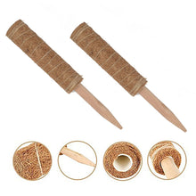 Load image into Gallery viewer, 30/40/50cm Plant Climbing Pole Cane Coir Moss Stick Palm Vines Stick Plant Supportfor Indoor Climbing Plants Creepers