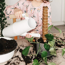 Load image into Gallery viewer, 30/40/50cm Plant Climbing Pole Cane Coir Moss Stick Palm Vines Stick Plant Supportfor Indoor Climbing Plants Creepers
