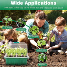 Load image into Gallery viewer, Plant Seed Starter Trays with Full Spectrum LED Grow Light Greenhouse Growing Lamp with Hole 12 Cell Per Tray Seedling Tray Indoor Home Gardening Tools