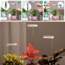 Load image into Gallery viewer, LED Indoor Angel Ring Plant Growth Light 2/4/8H On/Off Timer USB 5V Retractable Height Full Spectrum Simulated Sunlight Plant