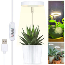 Load image into Gallery viewer, LED Indoor Angel Ring Plant Growth Light 2/4/8H On/Off Timer USB 5V Retractable Height Full Spectrum Simulated Sunlight Plant