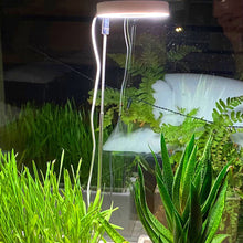 Load image into Gallery viewer, LED Indoor Angel Ring Plant Growth Light 2/4/8H On/Off Timer USB 5V Retractable Height Full Spectrum Simulated Sunlight Plant