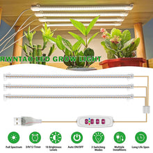 Load image into Gallery viewer, 1/2/3/4 LED Grow Light Strips for Indoor Plants Sunlight Full Spectrum USB Phyto Lamp Timer Dimmable Seedlings Flower Growing Lamp