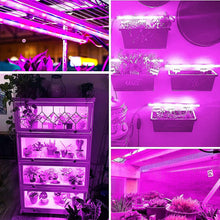 Load image into Gallery viewer, 1/2/3/4 LED Grow Light Strips for Indoor Plants Red Blue Full Spectrum USB Phyto Lamp Timer Dimmable Seedlings Flower Growing Lamp