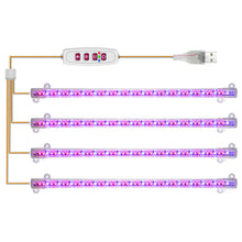 Load image into Gallery viewer, 1/2/3/4 LED Grow Light Strips for Indoor Plants Red Blue Full Spectrum USB Phyto Lamp Timer Dimmable Seedlings Flower Growing Lamp