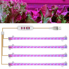 Load image into Gallery viewer, 1/2/3/4 LED Grow Light Strips for Indoor Plants Red Blue Full Spectrum USB Phyto Lamp Timer Dimmable Seedlings Flower Growing Lamp