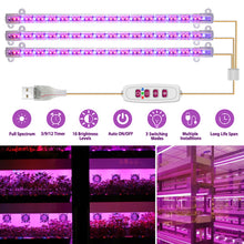 Load image into Gallery viewer, 1/2/3/4 LED Grow Light Strips for Indoor Plants Red Blue Full Spectrum USB Phyto Lamp Timer Dimmable Seedlings Flower Growing Lamp