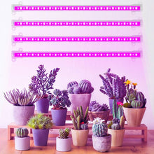 Load image into Gallery viewer, 1/2/3/4 LED Grow Light Strips for Indoor Plants Red Blue Full Spectrum USB Phyto Lamp Timer Dimmable Seedlings Flower Growing Lamp