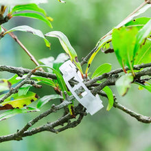 Load image into Gallery viewer, 150/100/50Pcs Plastic Plant Support Clips Reusable Plant Vine Protection Grafting Fixing Tool for Vegetable Tomato Garden Supplies