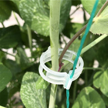Load image into Gallery viewer, 150/100/50Pcs Plastic Plant Support Clips Reusable Plant Vine Protection Grafting Fixing Tool for Vegetable Tomato Garden Supplies