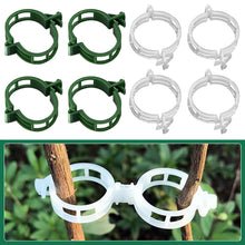 Load image into Gallery viewer, 150/100/50Pcs Plastic Plant Support Clips Reusable Plant Vine Protection Grafting Fixing Tool for Vegetable Tomato Garden Supplies