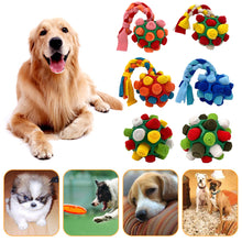 Load image into Gallery viewer, Interactive Dog Snuffle Ball Toy Foraging Skills Food Hiding Bite-resistant Anxiety Relief Slow Feeder Training Pet Ball Toy