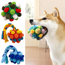Load image into Gallery viewer, Interactive Dog Snuffle Ball Toy Foraging Skills Food Hiding Bite-resistant Anxiety Relief Slow Feeder Training Pet Ball Toy