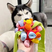 Load image into Gallery viewer, Interactive Dog Snuffle Ball Toy Foraging Skills Food Hiding Bite-resistant Anxiety Relief Slow Feeder Training Pet Ball Toy