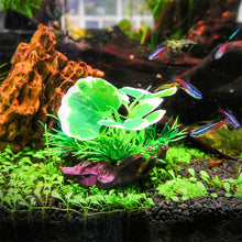 Load image into Gallery viewer, Artificial Green Plants Underwater Grass Aquarium Fish Tank Simulation Decoration Aquarium Decor Plastic Plants