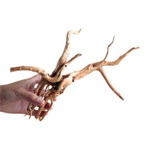Load image into Gallery viewer, Natural Tree Trunk Aquarium Decoration Sunken Wood Landscaping Ornaments Decor Fish Tank Ornament Different Shape