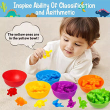 Load image into Gallery viewer, Kids Matching Game Learn Children's Classification Games Educational Toys Animal Cognition Rainbow Sort Fine Motor Training Montessori Sensory Puzzle Toy Gifts