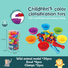 Load image into Gallery viewer, Kids Matching Game Learn Children's Classification Games Educational Toys Animal Cognition Rainbow Sort Fine Motor Training Montessori Sensory Puzzle Toy Gifts