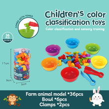 Load image into Gallery viewer, Kids Matching Game Learn Children's Classification Games Educational Toys Animal Cognition Rainbow Sort Fine Motor Training Montessori Sensory Puzzle Toy Gifts