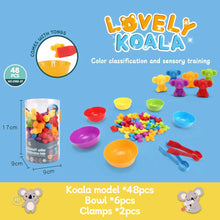 Load image into Gallery viewer, Kids Matching Game Learn Children's Classification Games Educational Toys Animal Cognition Rainbow Sort Fine Motor Training Montessori Sensory Puzzle Toy Gifts