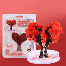 Load image into Gallery viewer, Magic Princess Growing Dress DIY Toy for Adults Kids Mini Growing Tree Girls Birthday Gifts Scientific Edcation Toys