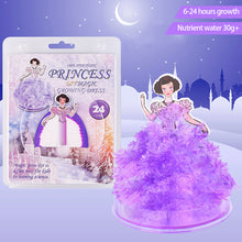Load image into Gallery viewer, Magic Princess Growing Dress DIY Toy for Adults Kids Mini Growing Tree Girls Birthday Gifts Scientific Edcation Toys