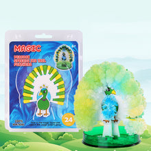 Load image into Gallery viewer, Magic Princess Growing Dress DIY Toy for Adults Kids Mini Growing Tree Girls Birthday Gifts Scientific Edcation Toys