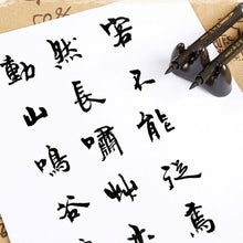 Load image into Gallery viewer, Calligraphy Brush Pen Art Marker Pens Craft Supplies Art Writing Drawing Office School Supplies Stationery Student