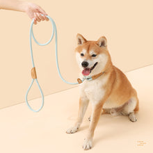 Load image into Gallery viewer, Durable Nylon Pet P Chain for Medium Large Dogs Slip Training Lead Puppy Big Dog Leash Collar Pug Traction Rope mascotas Leashes