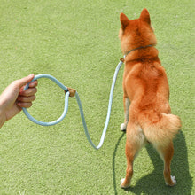 Load image into Gallery viewer, Durable Nylon Pet P Chain for Medium Large Dogs Slip Training Lead Puppy Big Dog Leash Collar Pug Traction Rope mascotas Leashes
