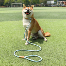 Load image into Gallery viewer, Durable Nylon Pet P Chain for Medium Large Dogs Slip Training Lead Puppy Big Dog Leash Collar Pug Traction Rope mascotas Leashes