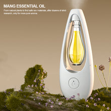 Load image into Gallery viewer, 1Bottle Room Air Freshener Spray Aroma Diffuser Essential Oil Home Toilet Fragrance Hotel Humidifier Perfume Aromatherapy Aroma Oil