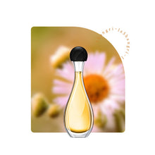 Load image into Gallery viewer, 1Bottle Room Air Freshener Spray Aroma Diffuser Essential Oil Home Toilet Fragrance Hotel Humidifier Perfume Aromatherapy Aroma Oil
