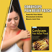 Load image into Gallery viewer, 8pcs/pack Cordyceps Far-infrared Pain Relieving Patch Promoting Blood Circulation Relieving Muscle Joint Pain Plaster