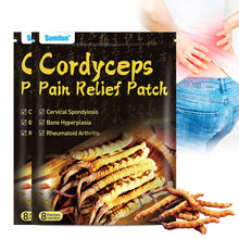Load image into Gallery viewer, 8pcs/pack Cordyceps Far-infrared Pain Relieving Patch Promoting Blood Circulation Relieving Muscle Joint Pain Plaster