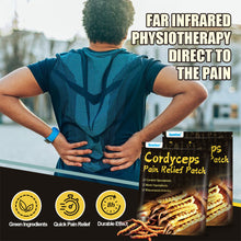 Load image into Gallery viewer, 8pcs/pack Cordyceps Far-infrared Pain Relieving Patch Promoting Blood Circulation Relieving Muscle Joint Pain Plaster