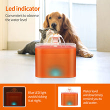 Load image into Gallery viewer, 2L Automatic Pet Cat Drinking Fountain USB Dogs Cats Electric Recirculate Mute Water Feeder Bowl Drinking Dispenser Filter