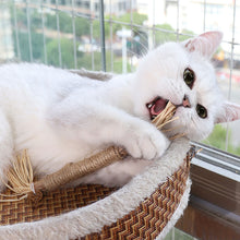 Load image into Gallery viewer, Cat Toys Silvervine Chew Stick Kitty Raffia Grass Pet Supplies Cleaning Teeth Stick Pet Bite Cat Toy Hemp Rope