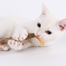 Load image into Gallery viewer, Cat Toys Silvervine Chew Stick Kitty Raffia Grass Pet Supplies Cleaning Teeth Stick Pet Bite Cat Toy Hemp Rope