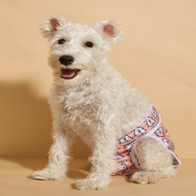 Load image into Gallery viewer, Pet Dog Panties Dog Physiological Pants XS-L Diaper Sanitary Washable Female Dog Menstruation Underwear Briefs Jumpsuit