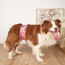 Load image into Gallery viewer, Pet Dog Panties Dog Physiological Pants XS-L Diaper Sanitary Washable Male Dog Menstruation Underwear Briefs Jumpsuit
