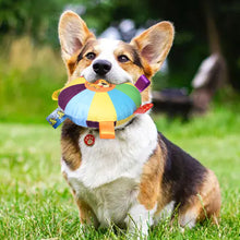Load image into Gallery viewer, Interactive Flying Disc Dog Toy for Aggressive Chewers Training Decompress Bite Resistant Plush Handle Dog Toys with Bells Pet Supplies