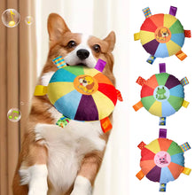 Load image into Gallery viewer, Interactive Flying Disc Dog Toy for Aggressive Chewers Training Decompress Bite Resistant Plush Handle Dog Toys with Bells Pet Supplies