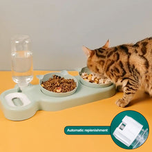 Load image into Gallery viewer, Cat Bowl Double Bowl Drinking Raised Stand Dish Bowls For Cats Automatic Food & Water Dispenser 3-in-1 Pet Supplies