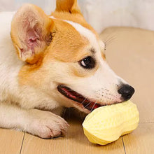 Load image into Gallery viewer, Dog Chewing Toy Screaming Rubber Peanut Grinding Teeth Cleaning Anti Bite Rubber Corgi Teddy Shiba Inu Small Dog Toy Ball