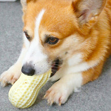 Load image into Gallery viewer, Dog Chewing Toy Screaming Rubber Peanut Grinding Teeth Cleaning Anti Bite Rubber Corgi Teddy Shiba Inu Small Dog Toy Ball