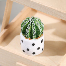 Load image into Gallery viewer, Mini Artificial Resin Cactus Figurines Potted Plant Indoor Desktop Decorations Mini Succulent Potted Plant Cactus Micro Landscape Model