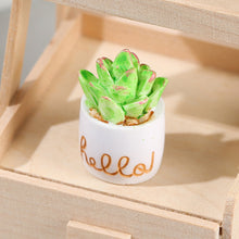 Load image into Gallery viewer, Mini Artificial Resin Cactus Figurines Potted Plant Indoor Desktop Decorations Mini Succulent Potted Plant Cactus Micro Landscape Model